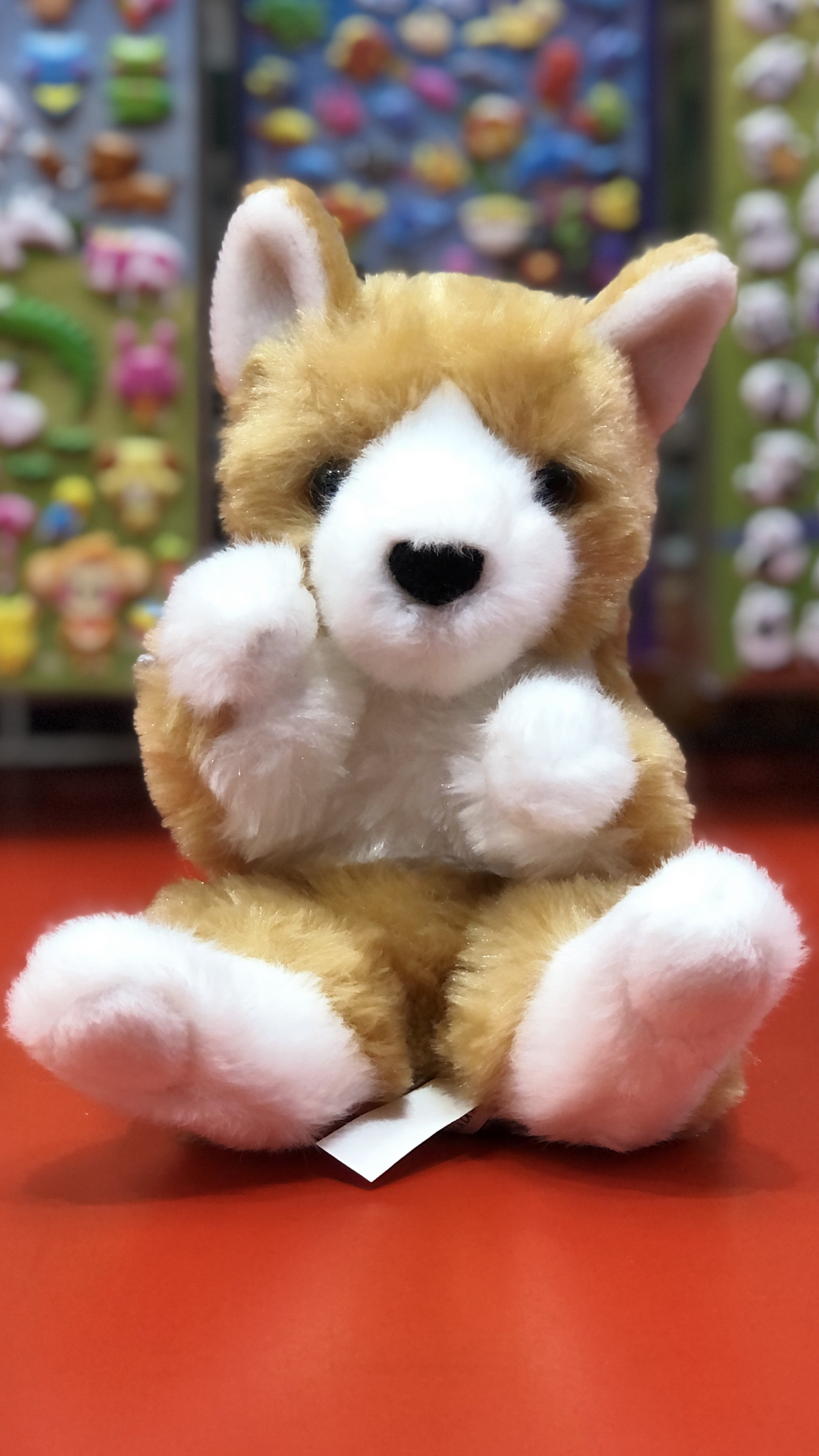Douglas Lil' Baby Puppy Plush 6"