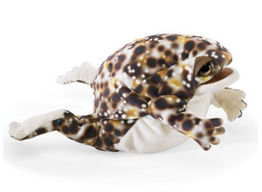 Folkmanis Desert Rain Frog puppet with spotted pattern, movable arms and mouth, realistic design for interactive play