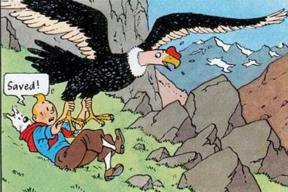 Tintin Prisoners Of The Sun Condor Poster