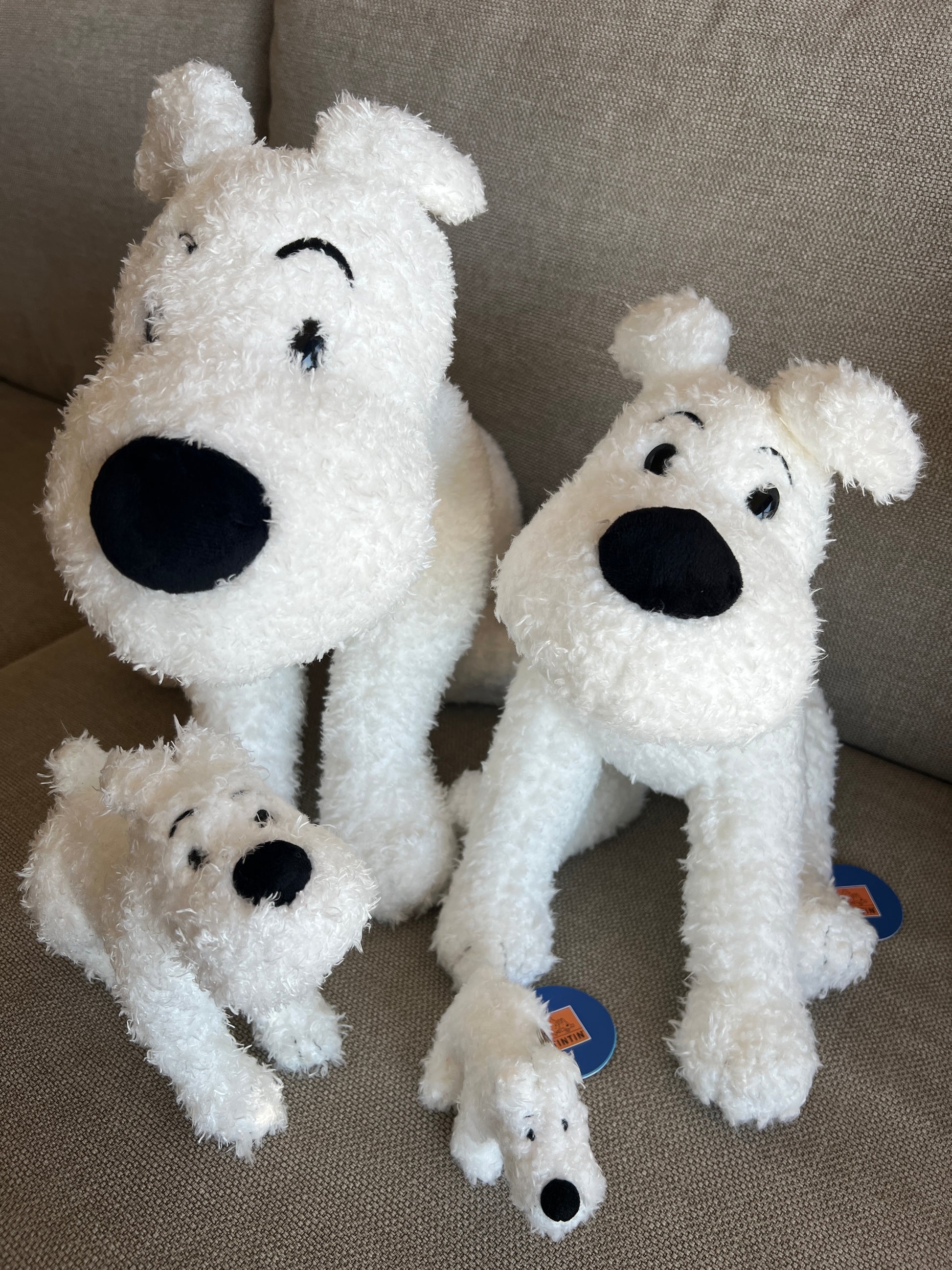 A group shot of four white plush Snowy dogs of varying sizes—50cm, 37cm, 20cm, and a small keychain size—sitting together on a neutral beige cushion. The two larger plushies stand upright showing their soft, textured fur, while the two smaller versions sit in front, all featuring classic stitched black eyebrows and soft black noses.
