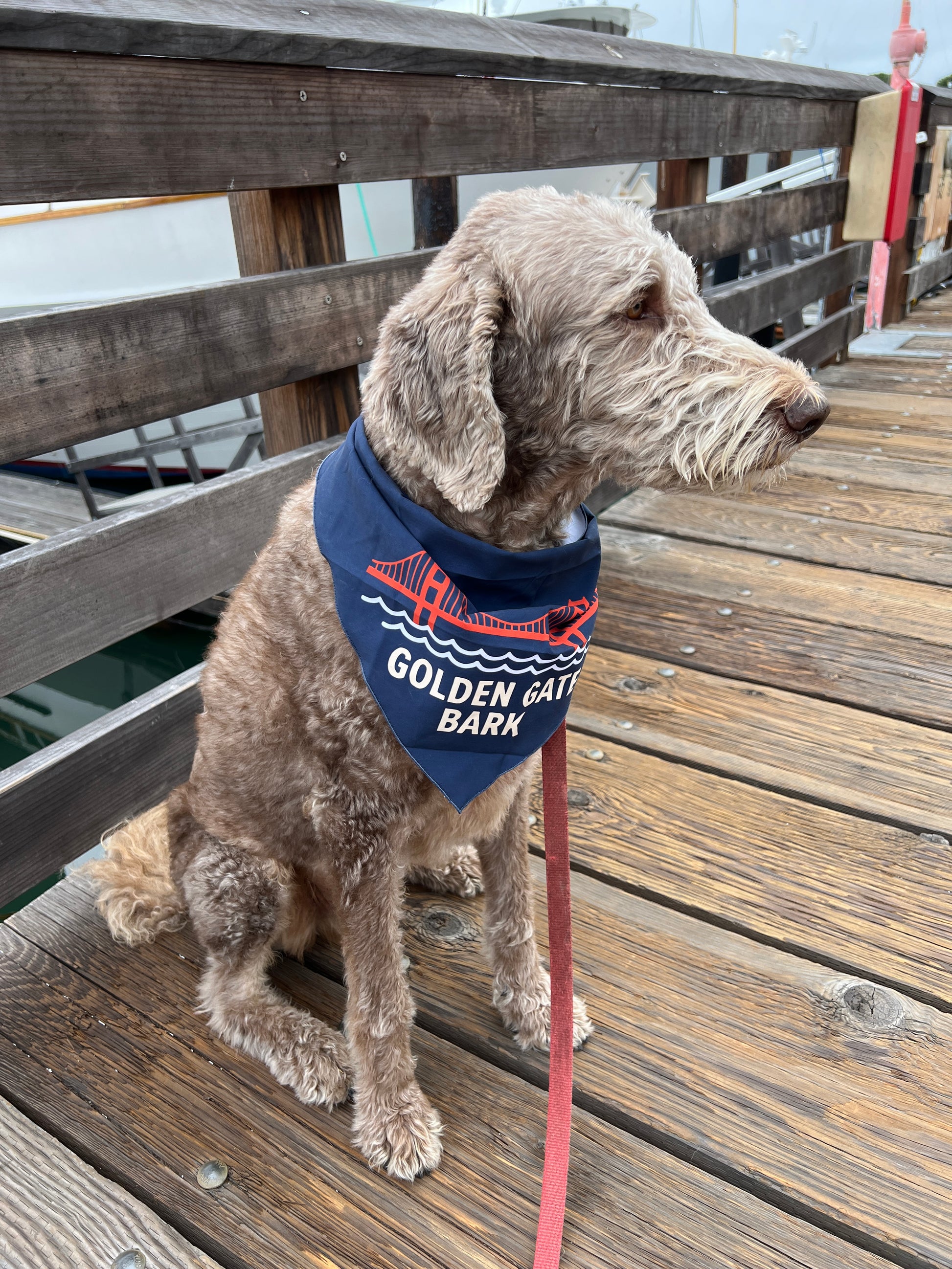 San Francisco Golden Gate Bark Dog Bandana M