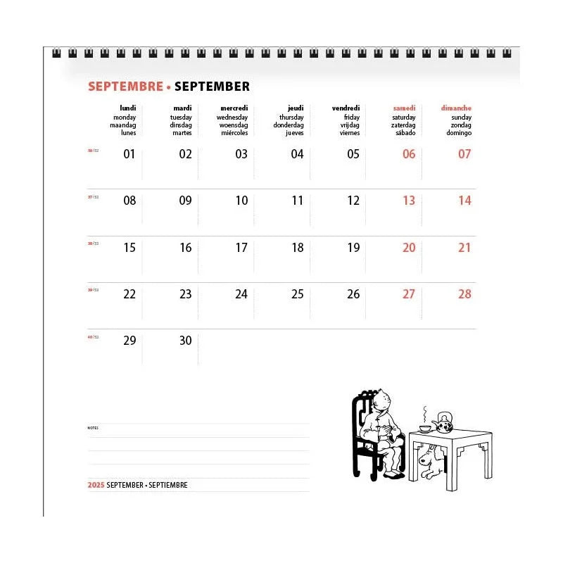 Tintin 2025 Blue Lotus Wall Calendar Ref. 24487