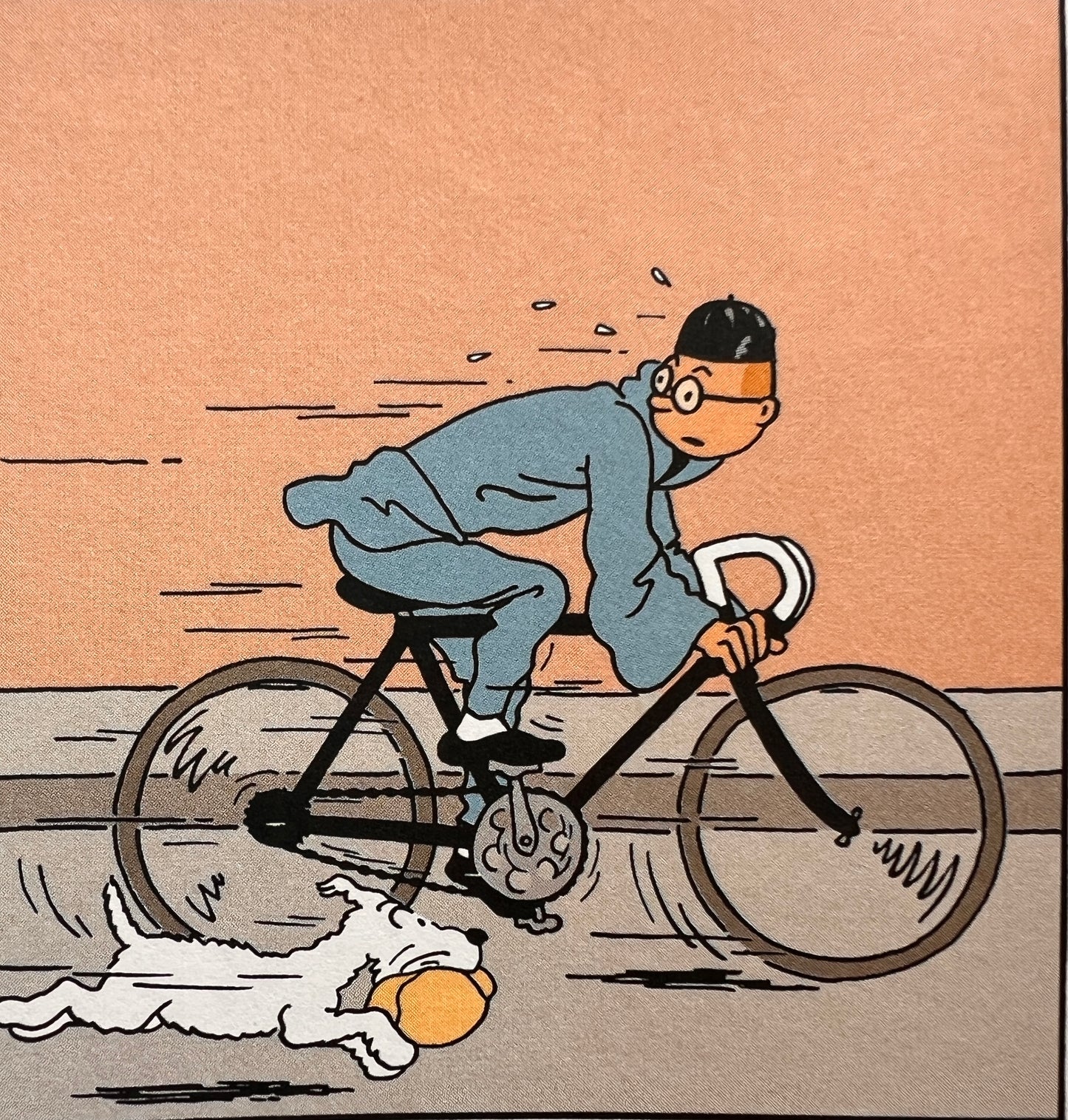 Official Herge illustration from the newly colorized version of The Blue Lotus, showing Tintin riding a bicycle at high speed with Snowy running alongside carrying a package, against an orange background.