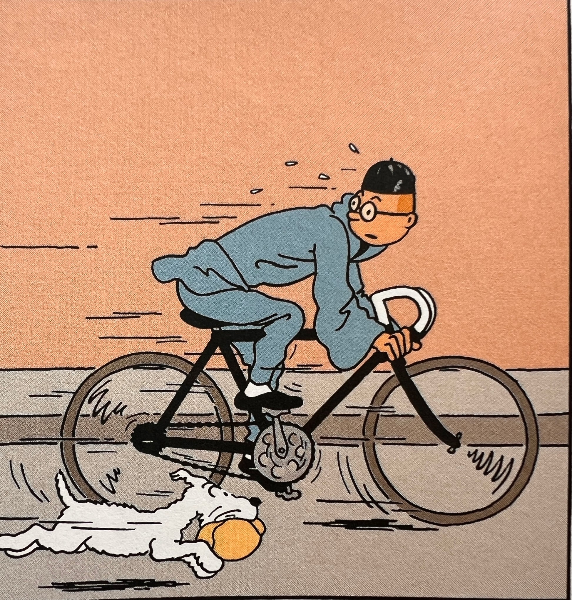 Official Herge illustration from the newly colorized version of The Blue Lotus, showing Tintin riding a bicycle at high speed with Snowy running alongside carrying a package, against an orange background.