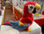 Douglas Gabby Red Parrot Plush 8"
