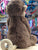 Jellycat Bashful Monkey Plush 12"