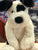 Jellycat Bashful Black & Cream Puppy Plush 12"