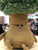 Jellycat Forestree Pine Plush 9"