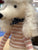 Jellycat Beatnik Buddy Poodle Plush 11"