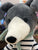 Jellycat Beatnik Buddy Whippet Plush 11"