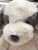 Jellycat Barnaby Pup Plush 12"