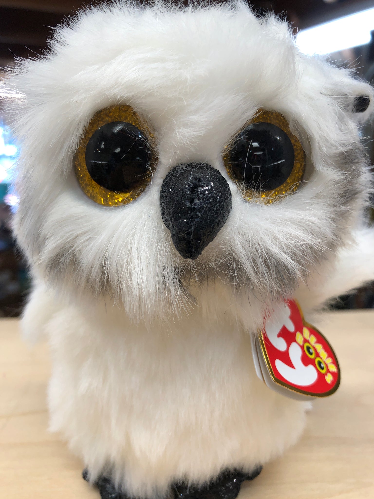 Ty Beanie Boo Austin Owl Plush 6 – Sausalito Ferry Co