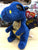 Ty Beanie Boo Saffire Blue Speckled Dragon Plush 6"