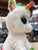 Ty Beanie Boo Pixy White Unicorn Plush 6"