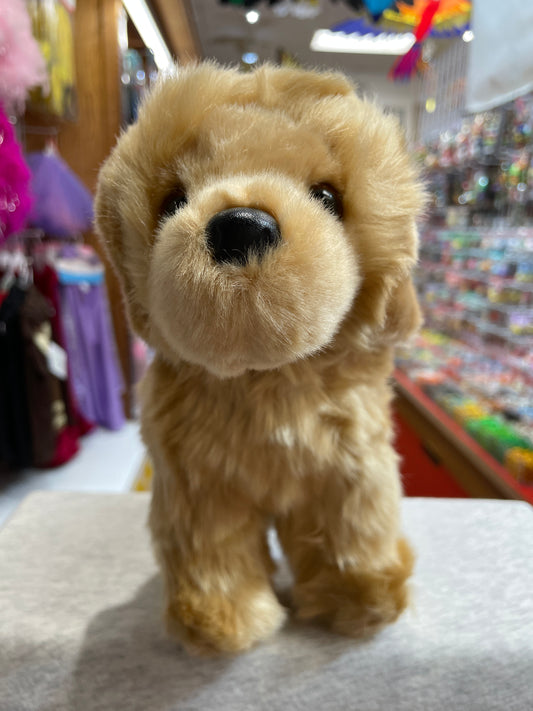 Soft, cuddly 10" Golden Retriever plush toy Chap with floppy ears and brown eyes in a colorful toy store setting