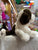Douglas Softie Donnie Puppy Plush 12"