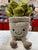 Jellycat Silly Succulent Jade Plush 6"