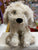 Gund Designer Pups Karina Labradoodle Plush 10.5"