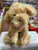 Gund Designer Pups Nayla Cockapoo Plush 10.5"