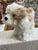 Douglas Jolly Maltipoo Dog Plush 7"