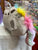 Gund Pusheen Pusheenicorn Plush 13”