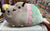 Gund Mermaid Pusheen Plush 12”