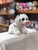 Ty Original Beanie Babies Tundra White Tiger Plush 6"