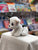Ty Original Beanie Babies Marcel White Dog Plush 8"