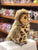 The Puppet Company Full Bodied Owl Puppet 13"