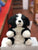 The Puppet Company Full Bodied Border Collie Puppet 13"