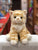 Douglas Adele Orange Cat Plush 9"
