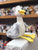 Douglas Macaroon Seagull Plush 10"