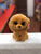 Ty Beanie Boo Noodles Goldendoodle Dog Plush 6"