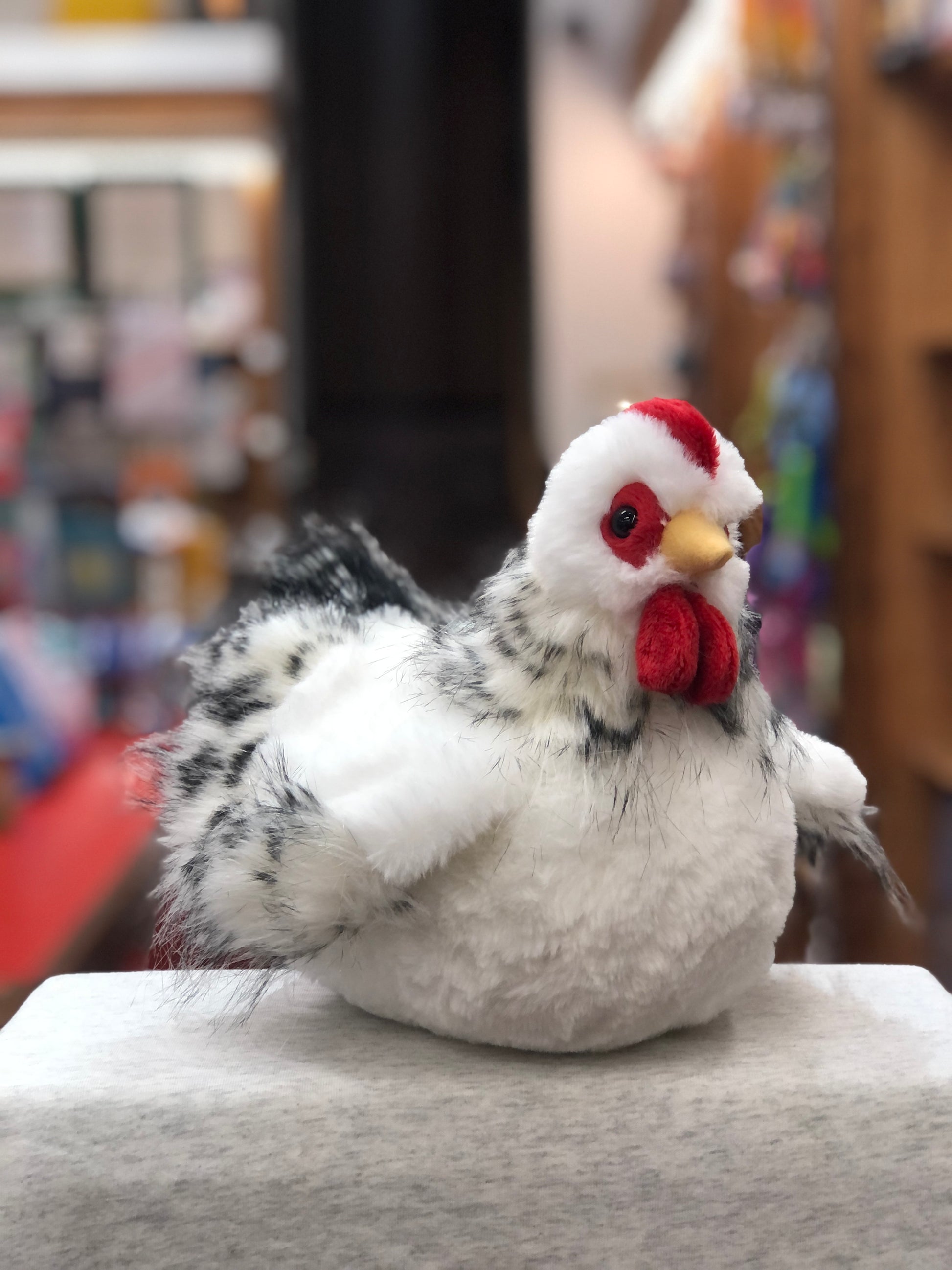 Lifelike Douglas plush hen Salty with black and white feathers, red comb and wattle, sitting on display in a store
