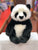 Douglas Paya Panda Plush 11"