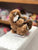 Douglas Lil' Baby Raccoon Plush 6"