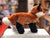 Douglas Bushy Red Fox Plush 9.5"
