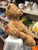Jellycat Bumbly Bear Plush 15"
