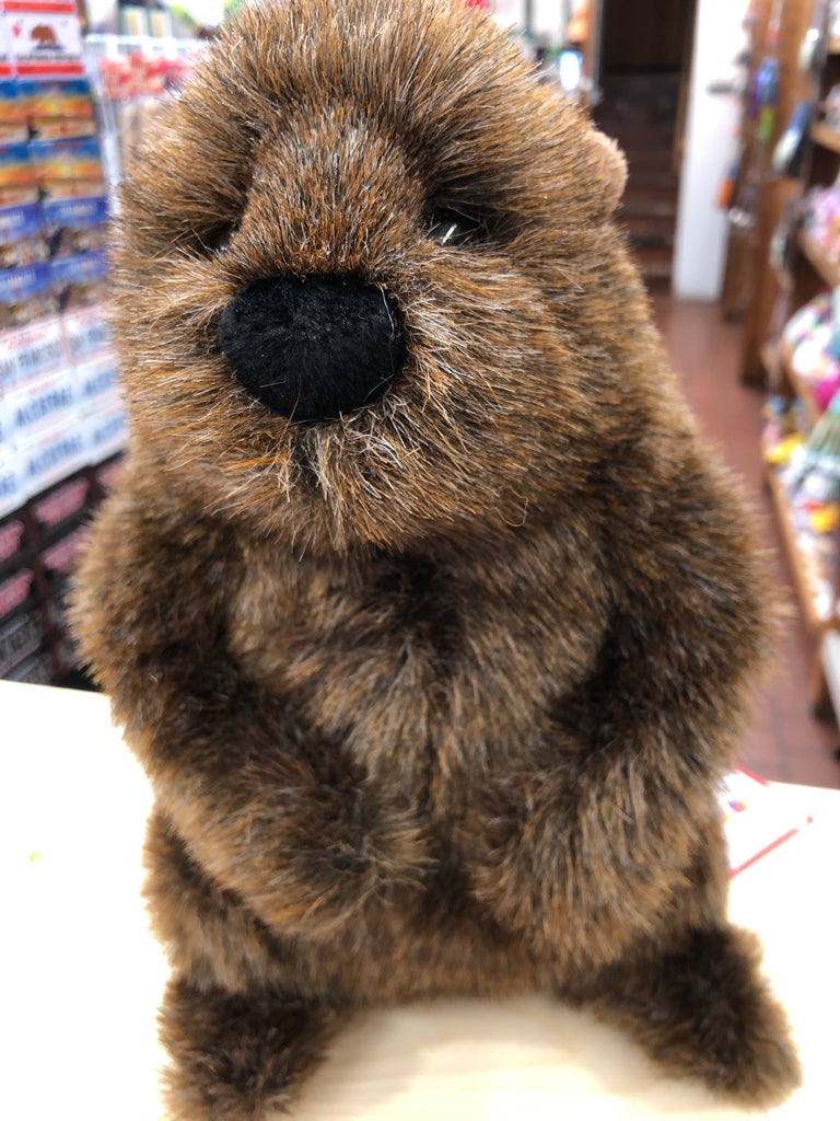 Groundhog sales stuffed animal