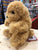 Douglas Lil' Baby Golden Retriever Plush 6"