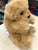 Douglas Lil' Baby Golden Retriever Plush 6"