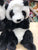 Douglas Lil' Baby Panda Bear Plush 6"