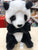 Douglas Lil' Baby Panda Bear Plush 6"