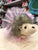 Douglas Pink Swirl Hedgehog in a Tutu Plush 6"