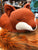 Jellycat Nestie Fox Plush 15"