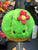 Squishable Snacker Cactus