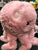 Squishable Mini Cute Octopus