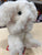 Douglas Cream Lil' Handful Bunny Plush 6"