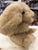 Douglas Golden Lil' Handful Bunny Plush 6"
