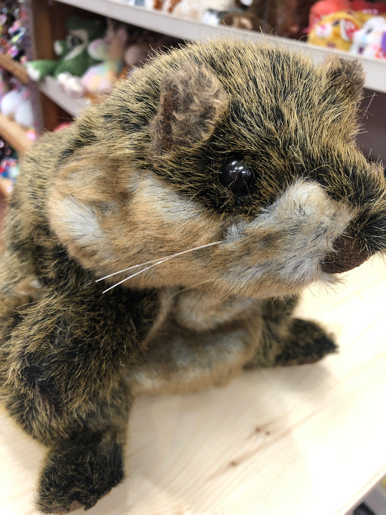 Folkmanis Groundhog Puppet 14"